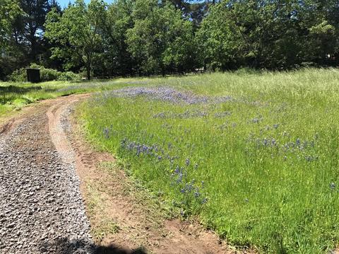 8555 Starr Rd, Windsor, CA 95492 photo 10