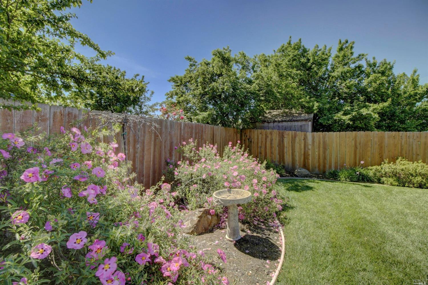 1436 E Madison St, Petaluma, CA 94954 photo 25