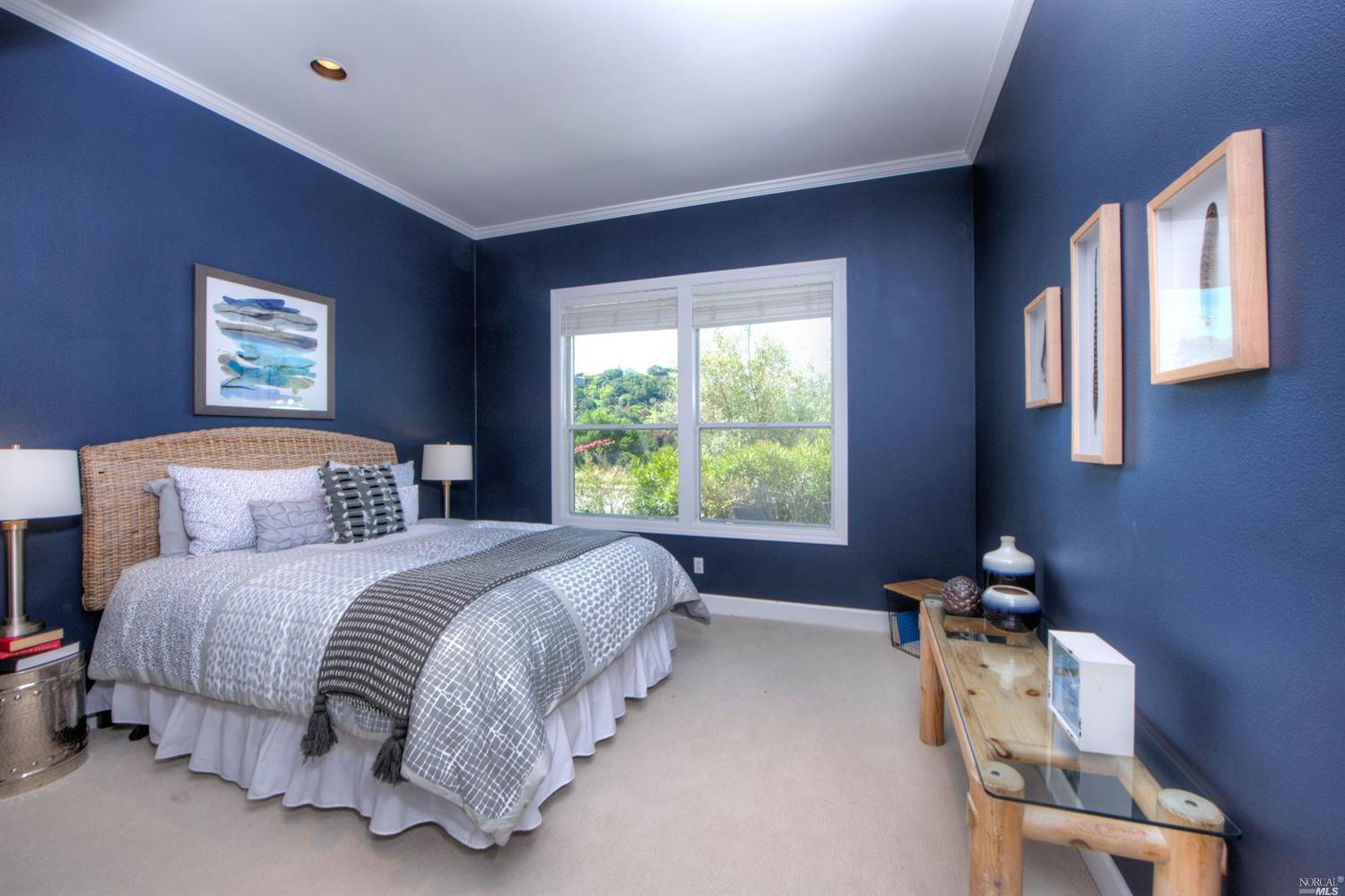 4 Turtle Rock Ct, Tiburon, CA 94920 photo 18
