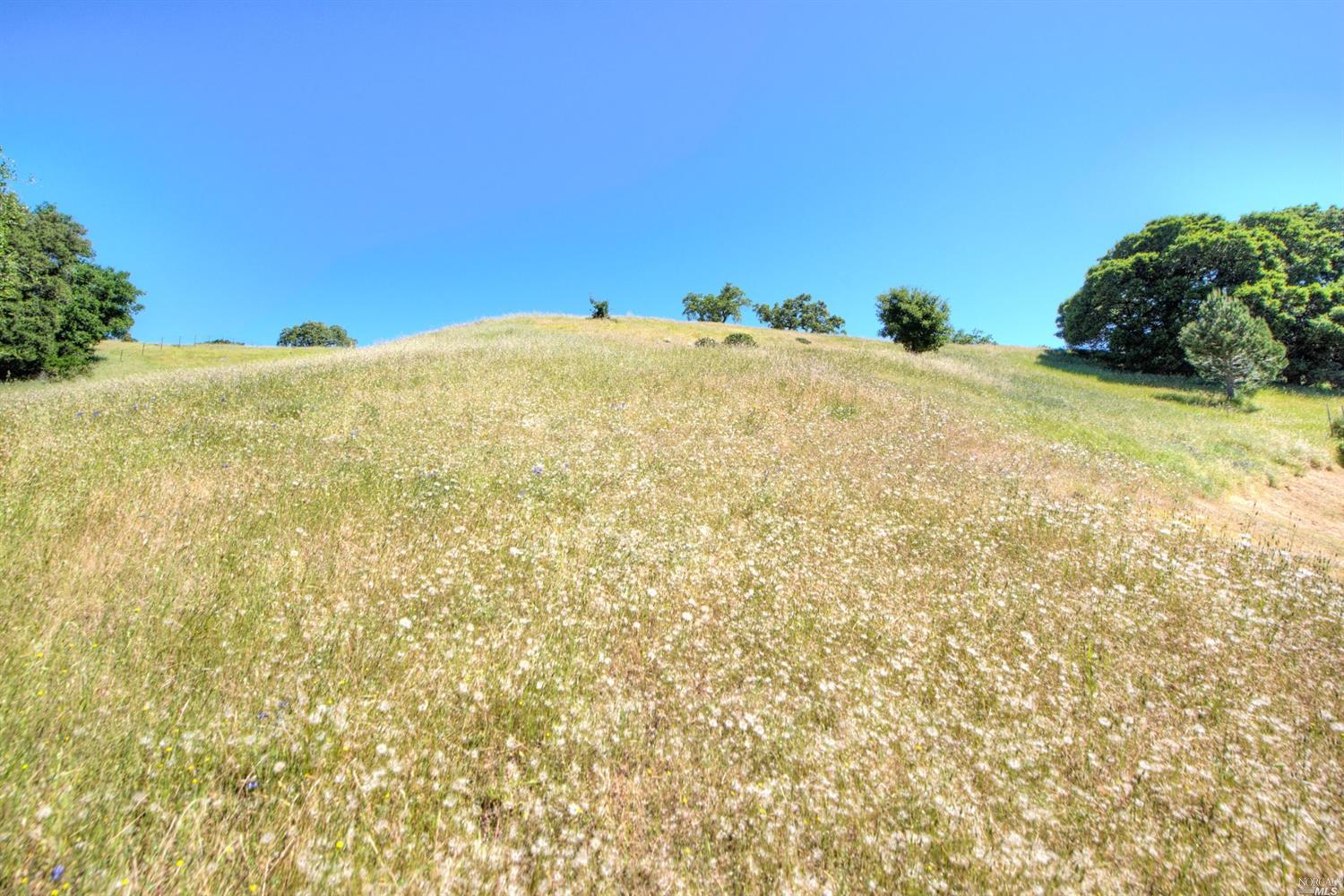 6 Tomahawk Ct, Novato, CA 94949 photo 30