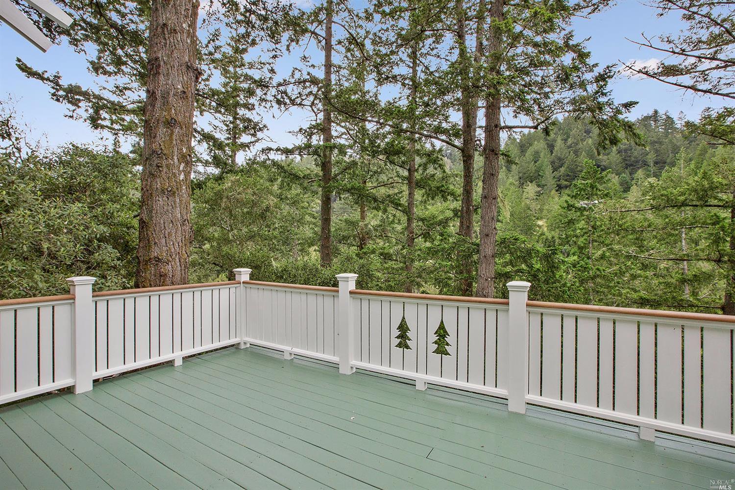 10 Lucia Ln, Lagunitas, CA 94938 photo 20