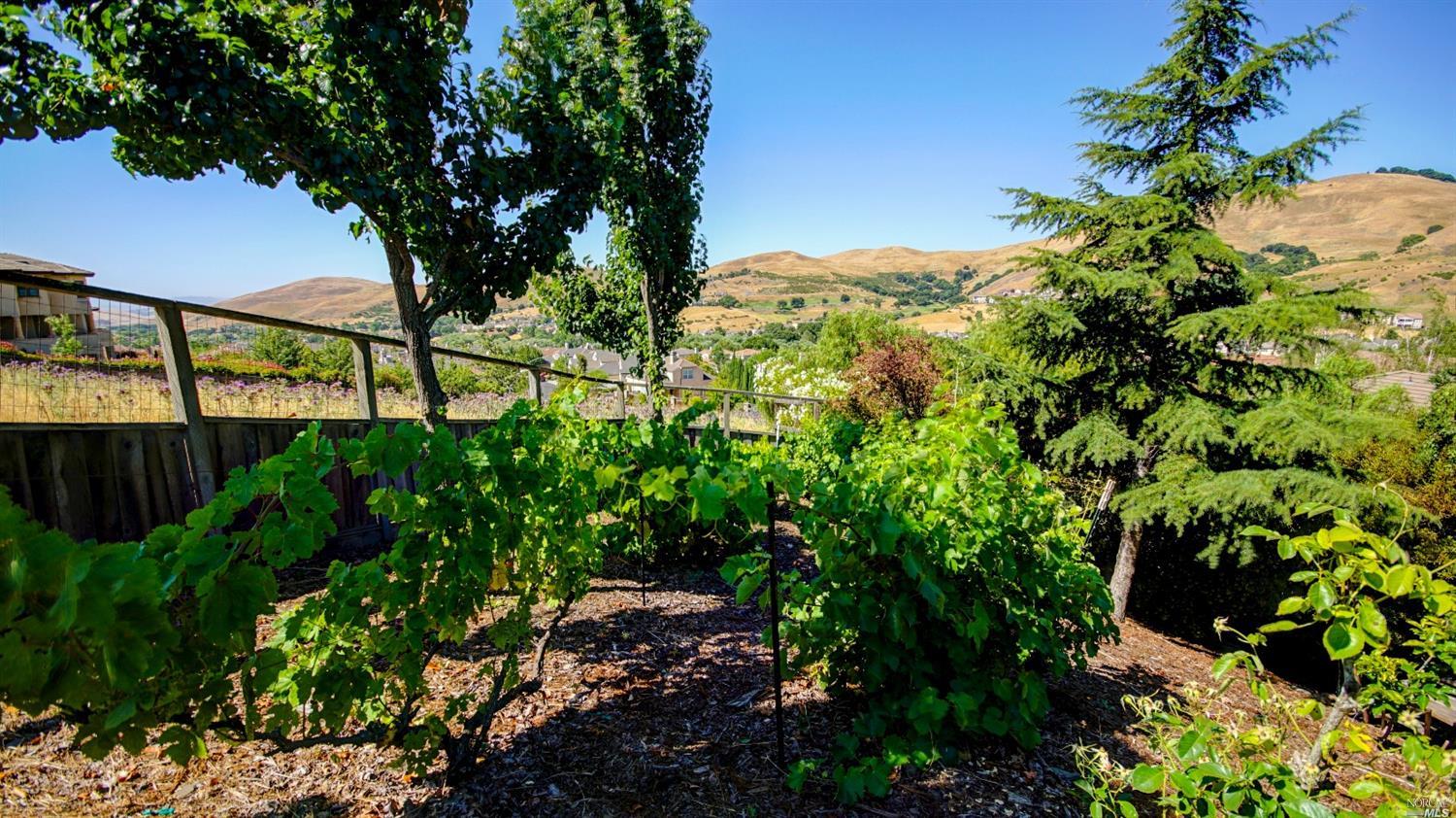 2224 Bennington Dr, Vallejo, CA 94591 photo 47