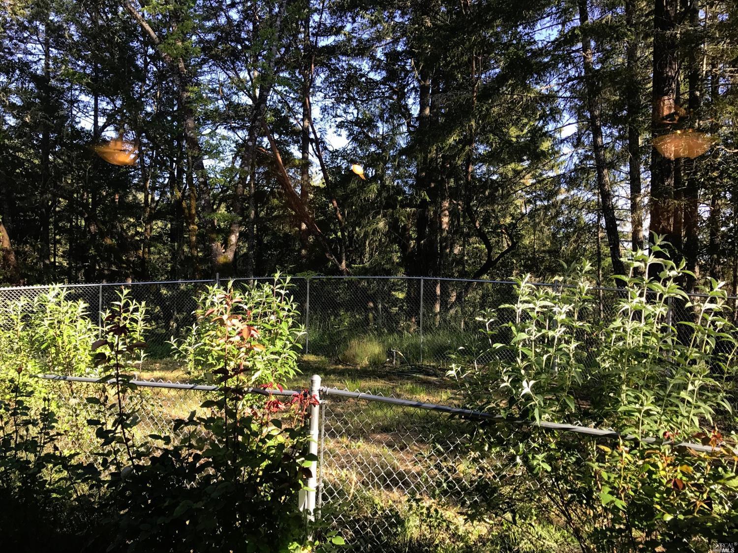 1413 Archer Pl, Willits, CA 95490 photo 18