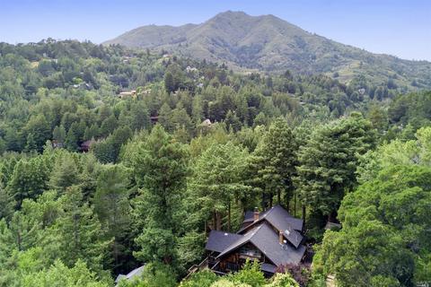 100 Quarry Rd, Mill Valley, CA 94941 photo 32