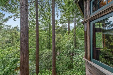 100 Quarry Rd, Mill Valley, CA 94941 photo 31