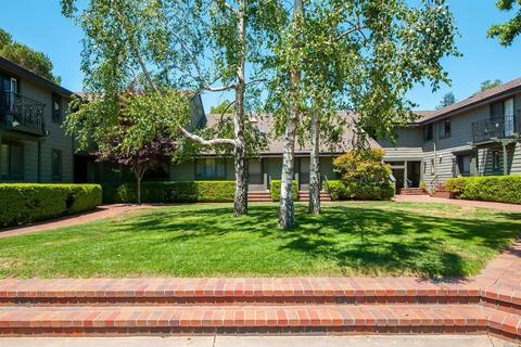 49 Ashford Ave, Mill Valley, CA 94941 photo 12