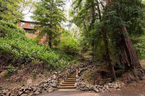 464 Eldridge Ave, Mill Valley, CA 94941 photo 4