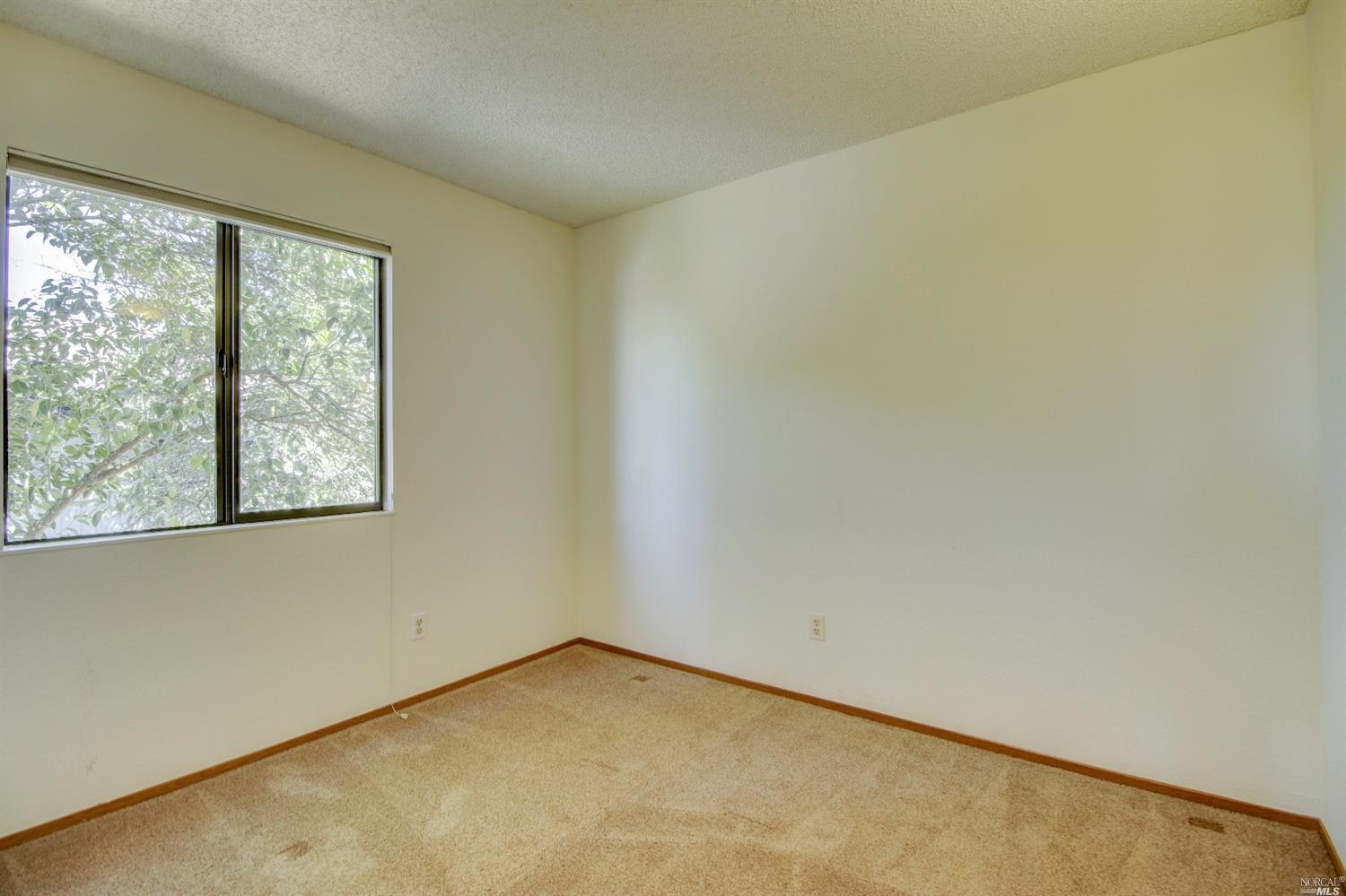 1128 Daniel Dr, Petaluma, CA 94954 photo 30