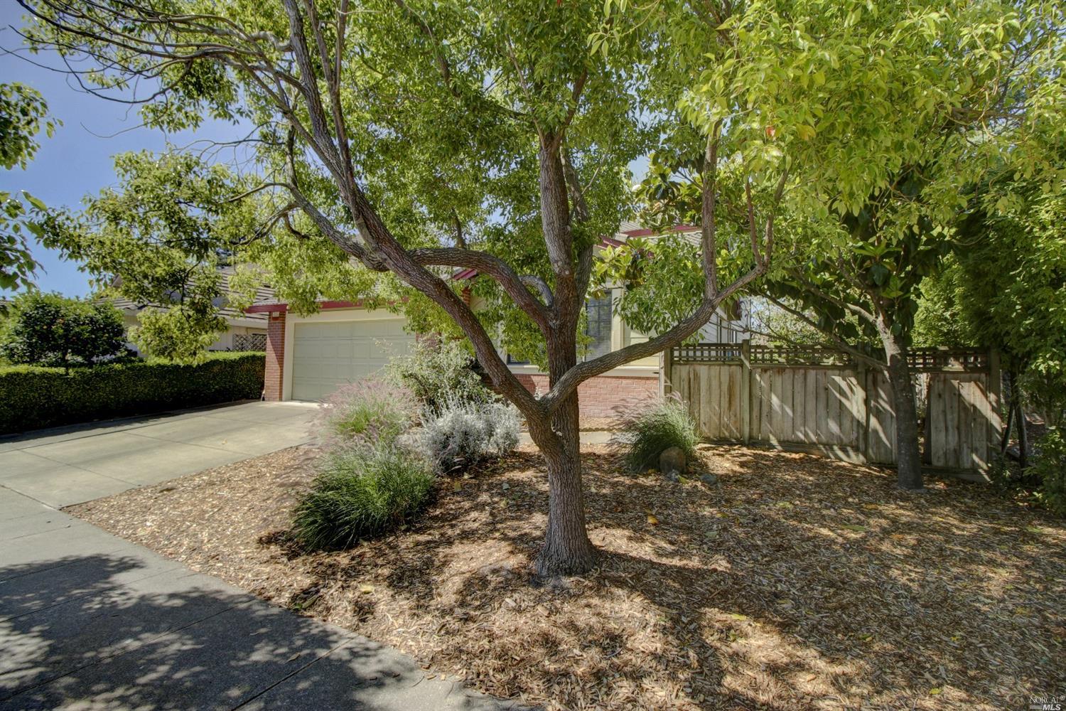 1128 Daniel Dr, Petaluma, CA 94954 photo 2