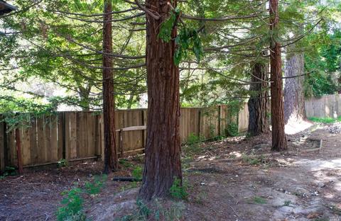 307 Sunset Way, Mill Valley, CA 94941 photo 10
