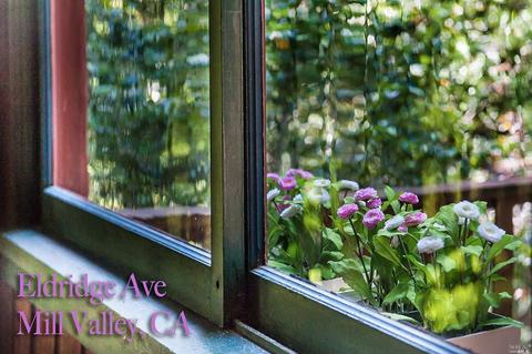 432 Eldridge Ave, Mill Valley, CA 94941 photo 26