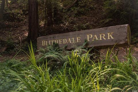 432 Eldridge Ave, Mill Valley, CA 94941 photo 29