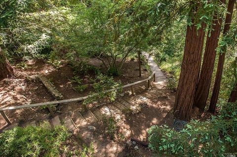 432 Eldridge Ave, Mill Valley, CA 94941 photo 30