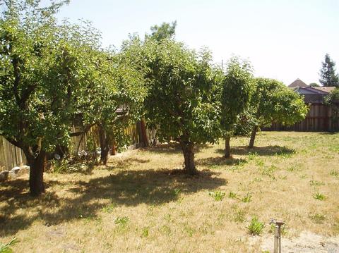 316 Payran St, Petaluma, CA 94952 photo 15