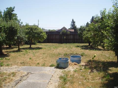 316 Payran St, Petaluma, CA 94952 photo 16