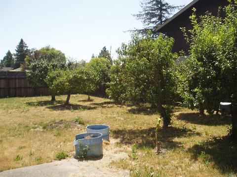 316 Payran St, Petaluma, CA 94952 photo 14