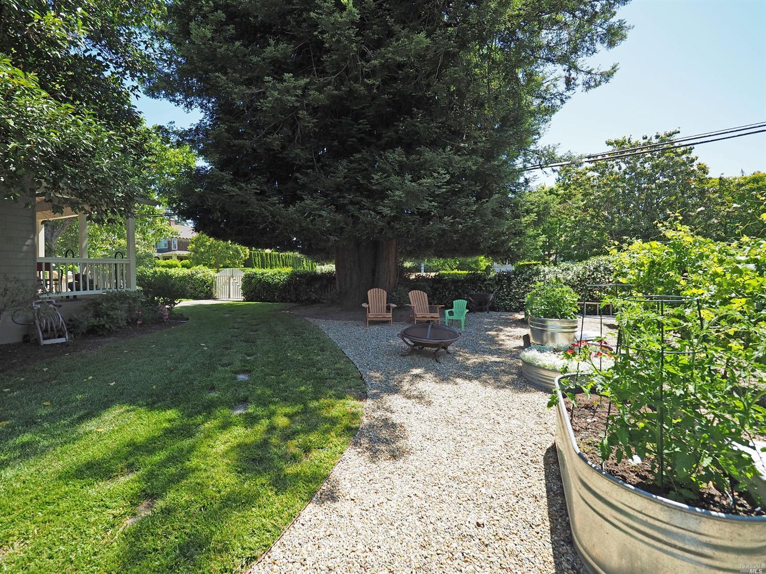 539 E 5th St, Sonoma, CA 95476 photo 28