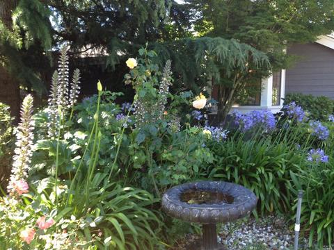 141 Chadwick Way, Cotati, CA 94931 photo 3