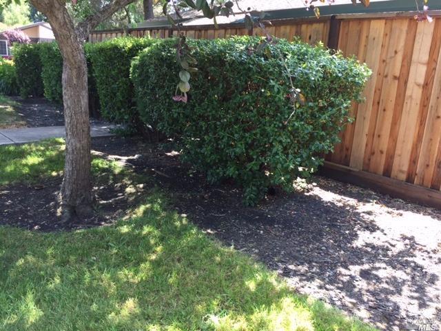 433 E Lincoln Ave, Cotati, CA 94931 photo 14