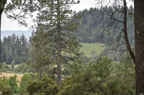 155 Edgewood Pl, Angwin, CA 94508 photo 7