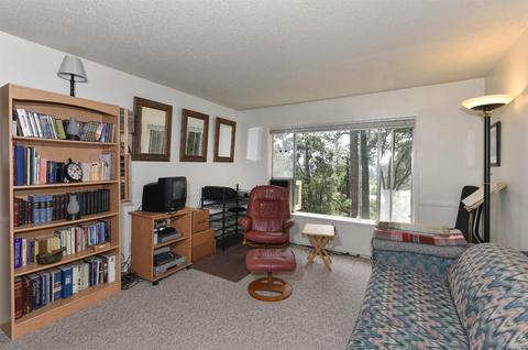 155 Edgewood Pl, Angwin, CA 94508 photo 28