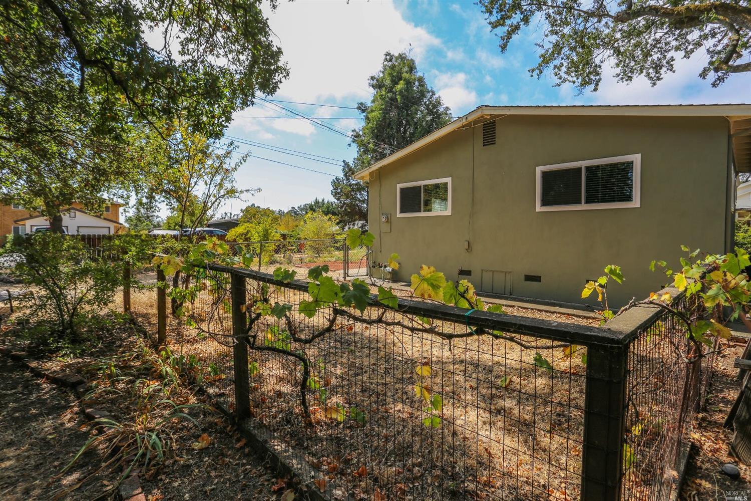 955 Laurel Ave, Sonoma, CA 95476 photo 24
