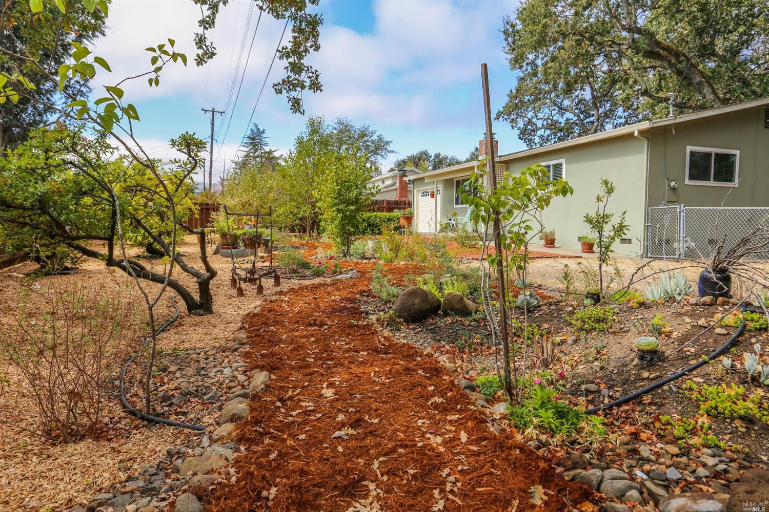 955 Laurel Ave, Sonoma, CA 95476 photo 19