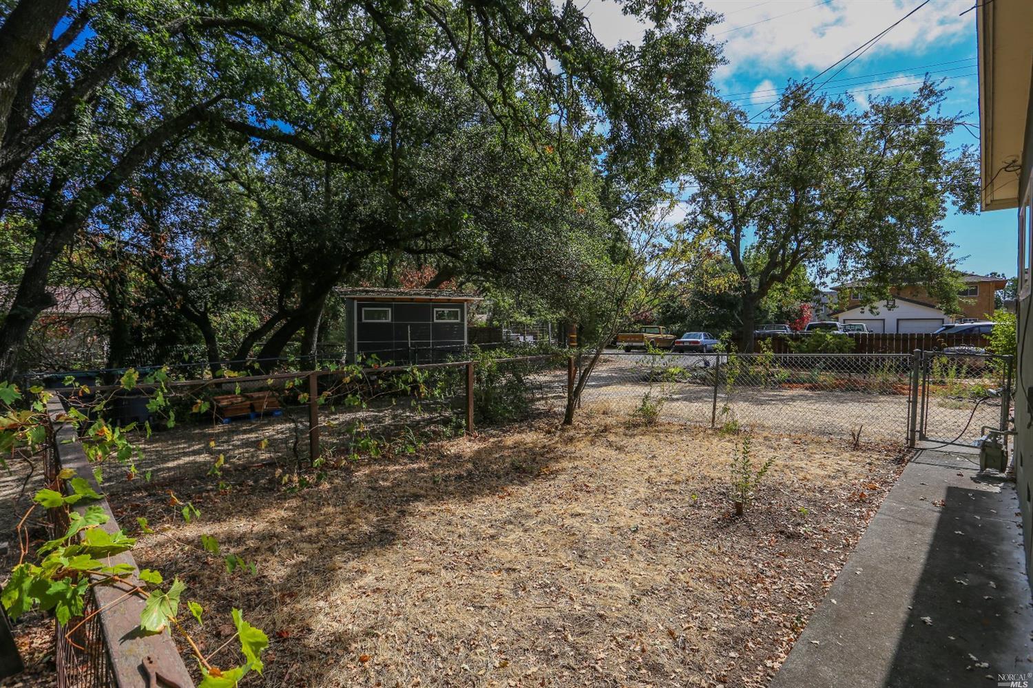 955 Laurel Ave, Sonoma, CA 95476 photo 23