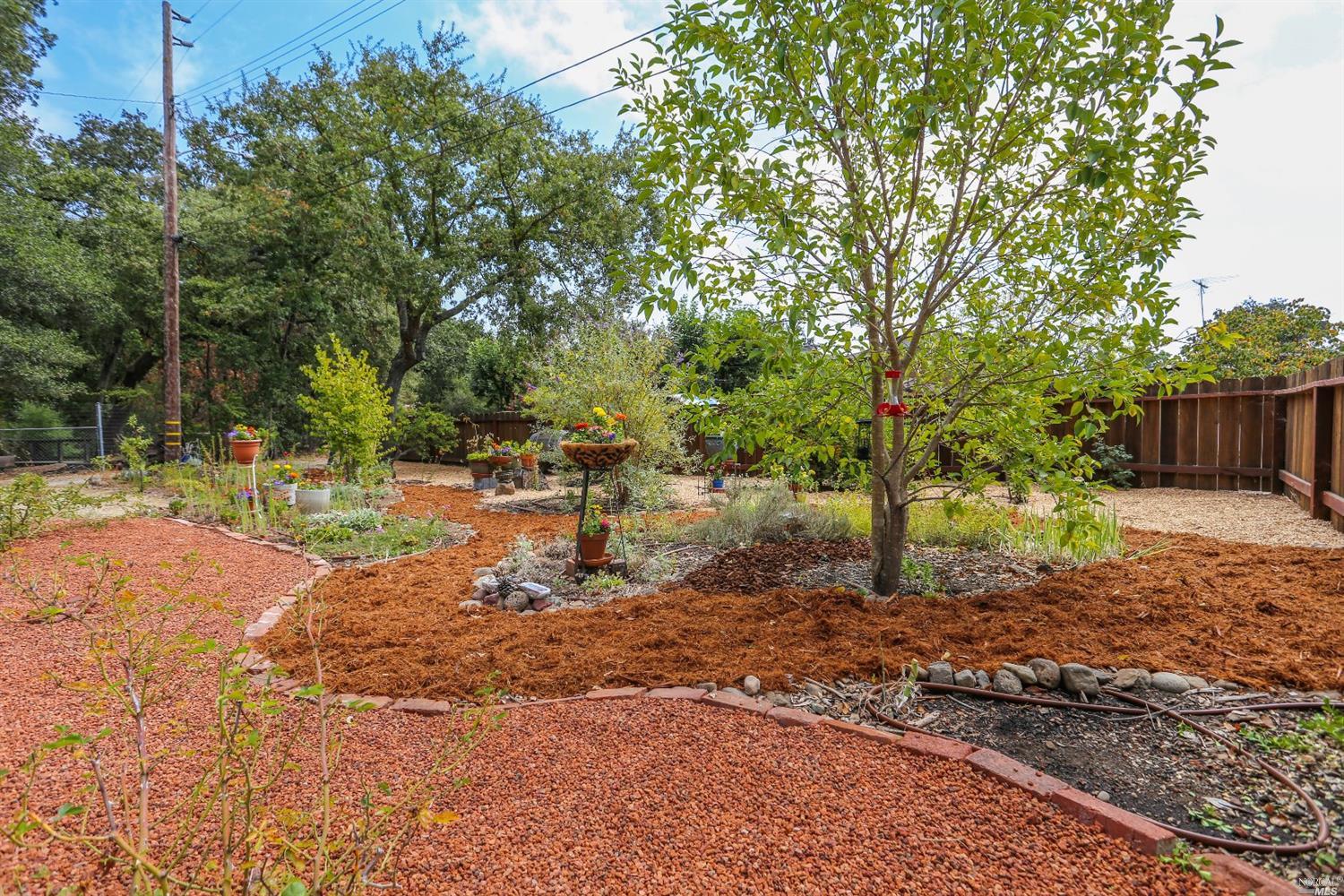 955 Laurel Ave, Sonoma, CA 95476 photo 20