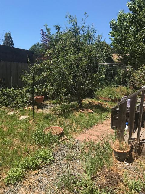 486 W Della Ave, Willits, CA 95490 photo 12