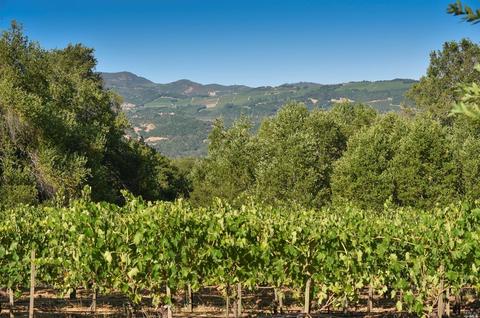 1982 Sobre Vista Rd, Sonoma, CA 95476 photo 15