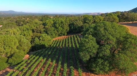 1982 Sobre Vista Rd, Sonoma, CA 95476 photo 8