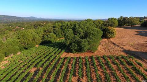1982 Sobre Vista Rd, Sonoma, CA 95476 photo 3