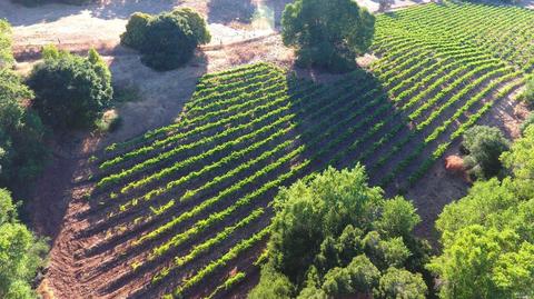 1982 Sobre Vista Rd, Sonoma, CA 95476 photo 5