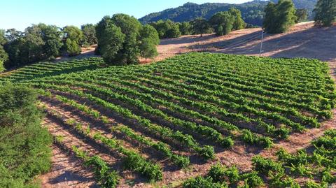 1982 Sobre Vista Rd, Sonoma, CA 95476 photo 2