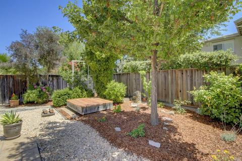 19 Magellan Ct, Novato, CA 94949 photo 27