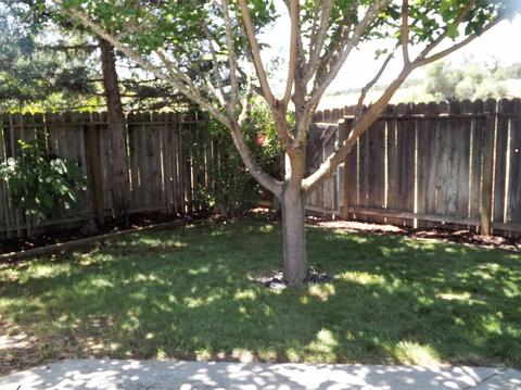 2250 Appolinaris Dr, Ukiah, CA 95482 photo 20