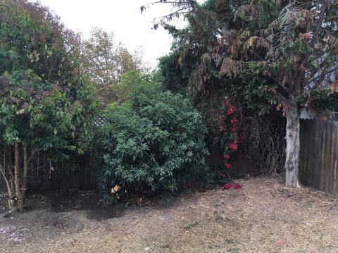 11 Monterey St, Vallejo, CA 94590 photo 12