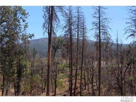 9347 Bleuss Way, Cobb, CA 95426 photo 2