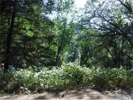 15930 Rainbow Dr, Cobb, CA 95426 photo 5