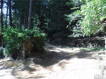 15930 Rainbow Dr, Cobb, CA 95426 photo 4