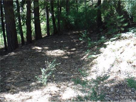 15930 Rainbow Dr, Cobb, CA 95426 photo 7