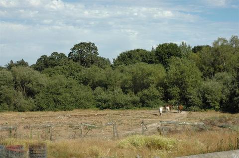 7408 Elphick Rd, Sebastopol, CA 95472 photo 21