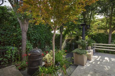 883 Olive St, Petaluma, CA 94952 photo 20