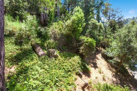 115 Mountain View Ave, Lagunitas, CA 94938 photo 16