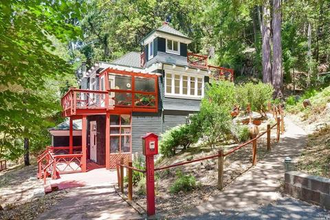 115 Mountain View Ave, Lagunitas, CA 94938 photo 10