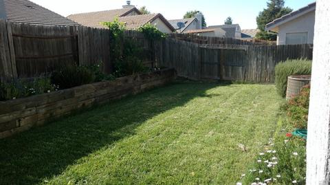 845 Bounds Dr, Dixon, CA 95620 photo 16