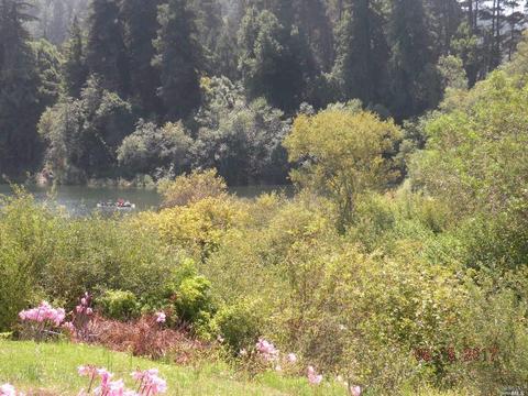 22925 Conifer Dr, Monte Rio, CA 95462 photo 12