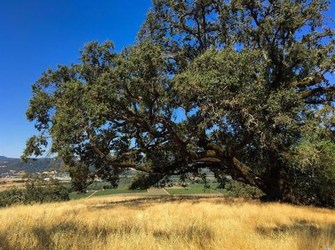 28500 River Rd, Cloverdale, CA 95425 photo 4