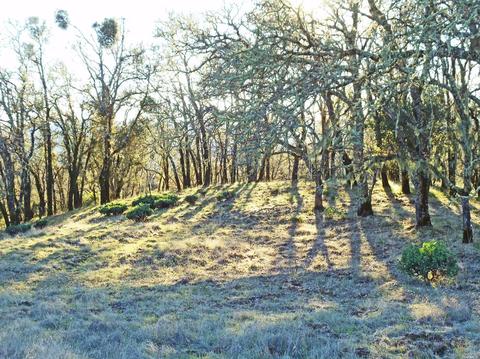 28500 River Rd, Cloverdale, CA 95425 photo 45